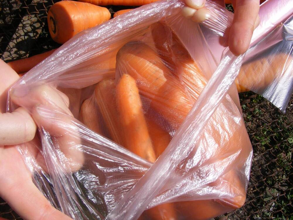 Хранение моркови в пакете